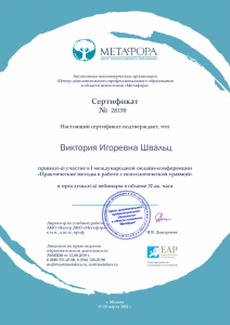 trauma counsellor